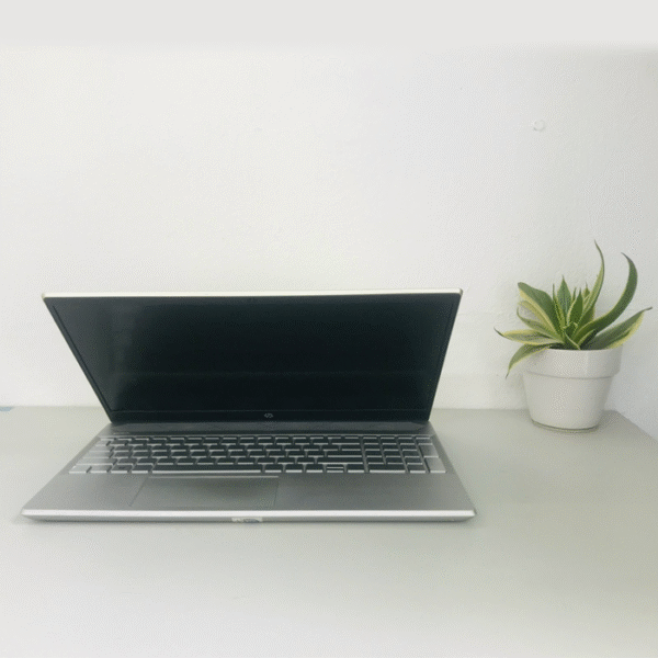 HP Pavilion 15 - CS3xxx